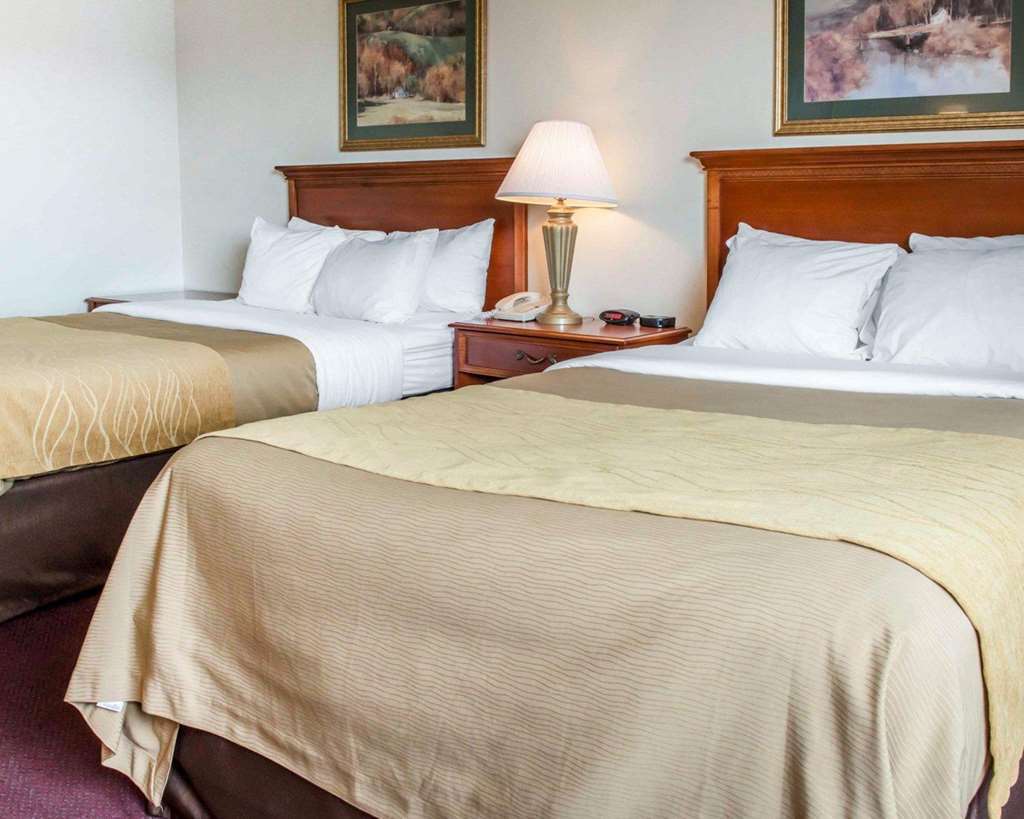 Quality Inn & Suites New Castle Værelse billede